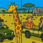 اختبار الذكاء الفائق: ابحث عن 3 اختلافات في صورة السائح